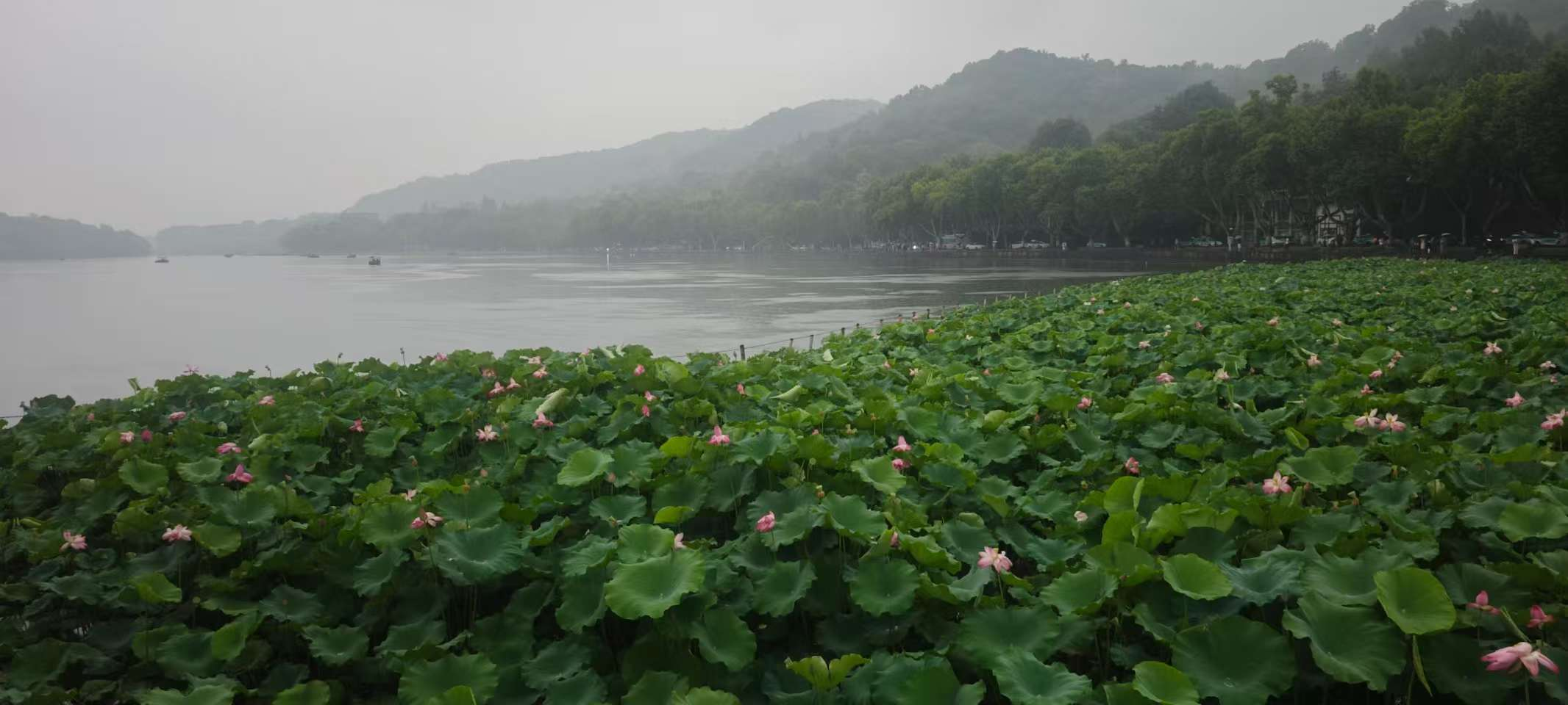 image-20251220203842620