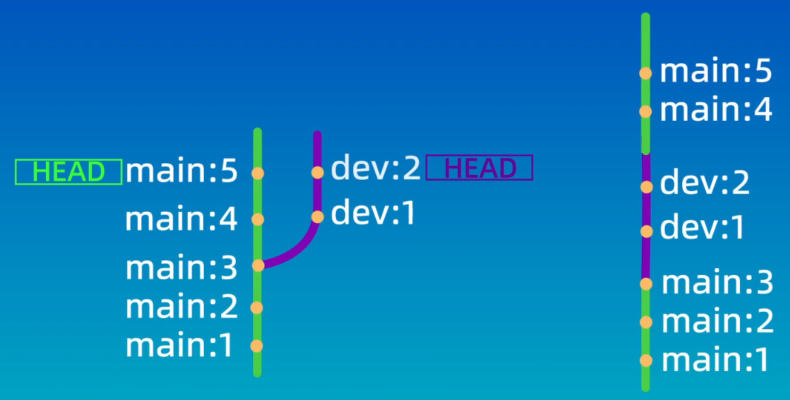 image-20240701155620386